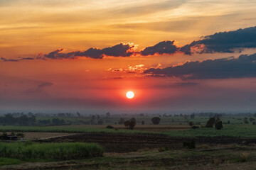 Beautiful sunset with bright red sun and silhouette of trees in front and red cloudy sky in background