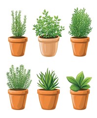 Illustration of five different types of potted plants illustrated