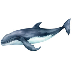 AI-generated watercolor Humpback Whale clip art illustration. Isolated elements on a white background.