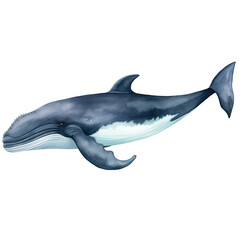 Obraz premium AI-generated watercolor Humpback Whale clip art illustration. Isolated elements on a white background.