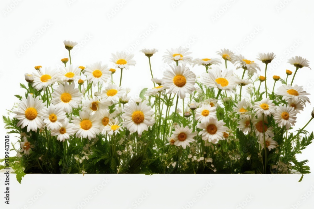 Poster White and yellow flowers arranged in a vase. Perfect for adding a touch of nature to any space