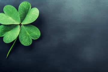 Clover leaf on a dark background. St. Patrick's Day celebration, luck and fortune concept, copy space
