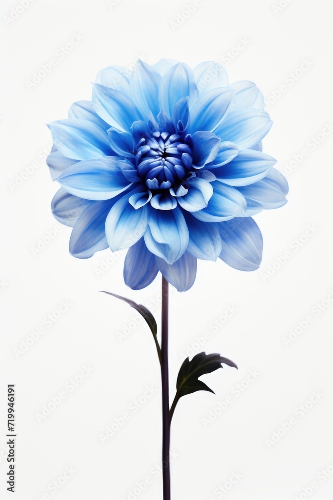 Poster A detailed shot of a blue flower on a stem. Perfect for adding a pop of color to any design or project