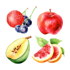 Naklejka premium watercolor painting of summer fruits four collection