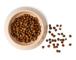 Bowl with dry pet food isolated on white background