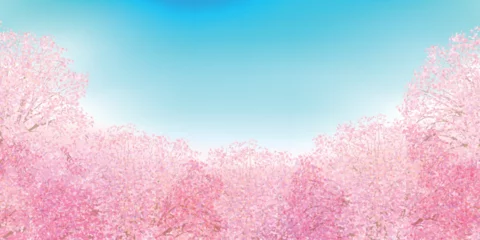 Fototapeten 桜　春　風景　背景  © J BOY