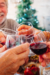 Cheerful people family and friends toasting with red wine - xmas christmas green tree in background - celebrate and event traditional concept for caucasian adult and senior