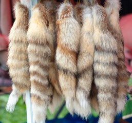 Animal skins hang on the market