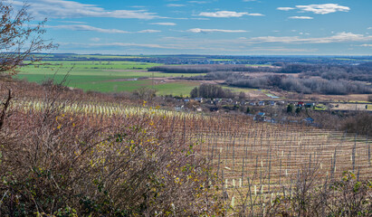 Wonderful view from the hill to the plain with green fields, meadows, villages and forests. There are vineyards on the hillside. Blue sky with white clouds.