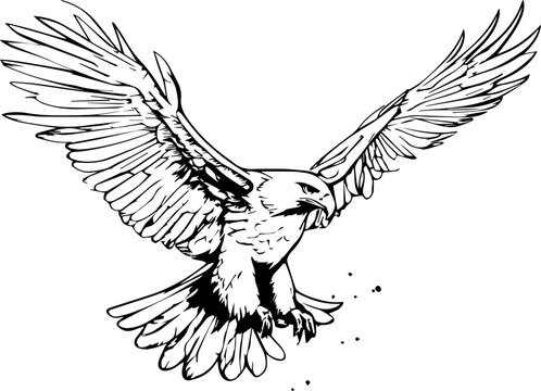 Flying Eagle Silhouette Illustration Art Design