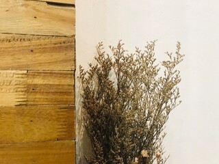 dried violet and brown flower bouquet with the white cement wall and the vintage brown wooden wall on the background