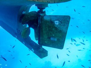 Boat propellers under the hull and Underwater.
Lots of fish around the boat propellers.