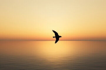 Seagull on sunrise, minimalistic silhouette of a bird flying over the horizon at dawn