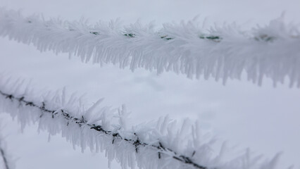 Eiskristalle auf Stacheldraht