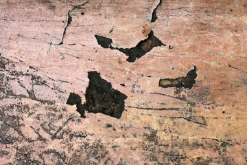 wall