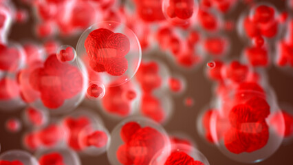 Human cell or Embryonic stem cells   © Silver Place