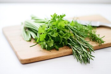 vibrant green herbs bunch on white board