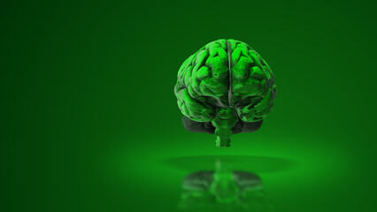 Human brain in 3D medical animation	