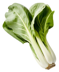 Fresh green bok choy isolated on a white background a healthy and organic vegetable  - obrazy, fototapety, plakaty