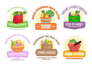 Farmer market fresh product harvest nature fruit vegetable banner emblem design template set vector