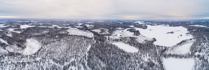 Aerial view over taiga landscape with snow covered boreal forest and frozen lakes in northeast...