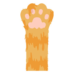 Cute Cat Paw Element