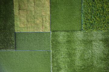 background of green grass turf