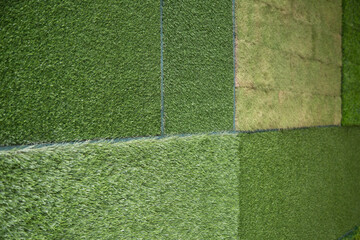 background of green grass turf