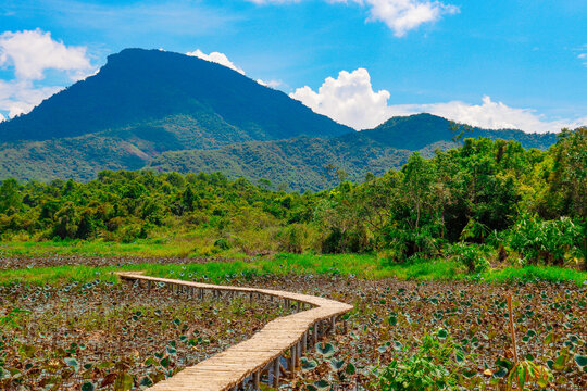 road in mountains