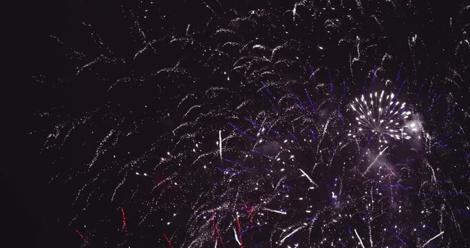 Fireworks at night after celebration. The colors are red, white and blue