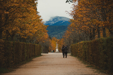 An embracing young couple walks through the park of the royal residence.