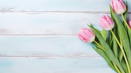 Three delicate pink tulips