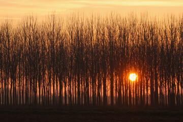 Sunset Po Valley Italy landscape sun sky fields color
