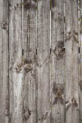 gray old wooden fence background, texture