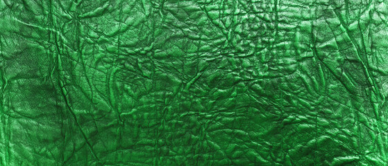 Fabulously beautiful skin of a green dragon close-up. Panorama. Suitable as a banner or wallpaper.