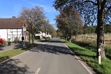 Landstraße in der Abenddämmerung in Arnsberg im Sauerland