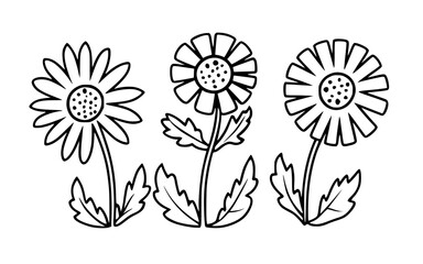 Abstract wall art. Spring illustration. Line art flowers vector clipart.