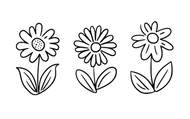 Abstract wall art. Spring illustration. Line art flowers vector clipart.