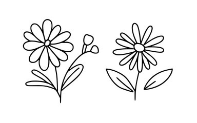 Abstract wall art. Spring illustration. Line art flowers vector clipart.