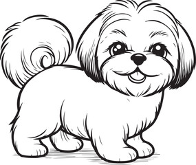 Shih Tzu dog pet vector cartoon outline illustration trasnparent background