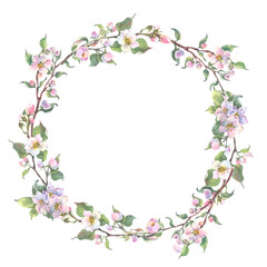 Watercolor wreath with apple tree branch and flowers, blooming tree on white background, isolated watercolor illustration. It's perfect for wedding invitations, mothers day and valentines card.
