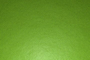 Leather texture, flat view. The name of the color is green yellow