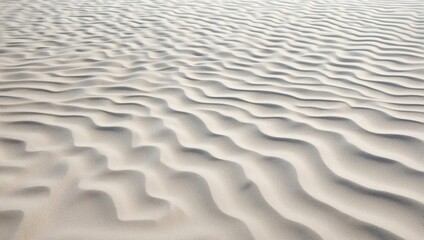 Obraz premium 砂丘の風紋
