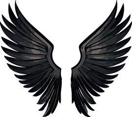 Black wings multicolor vector illustration isolated