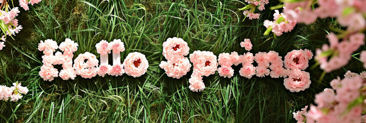 "HELLO SPRING" composed of sakura blossoms on grass, heralding the start of the season
