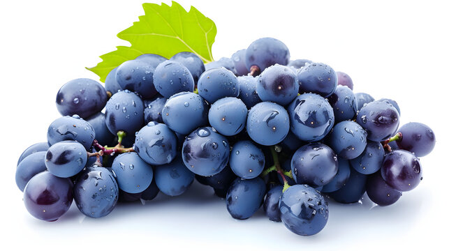 Blue wet Isabella grapes bunch isolated on white background. Ripe grapes.