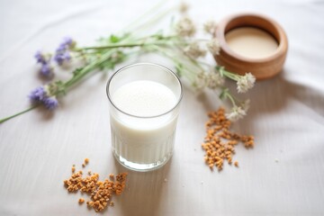 Obraz na płótnie Canvas glass of quinoa milk with raw quinoa grains scattered