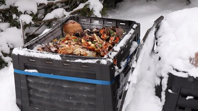 Showing open compost bin with bio waste inside, outdoors in the winter, snowy cold weather.