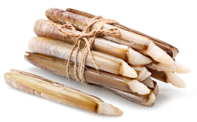 Raw razor clams isolated on white background.