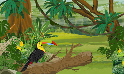 Keel-billed toucan sits on the trunk of a fallen tree in a thicket of tropical plants. Jungle. Realistic vector landscape.